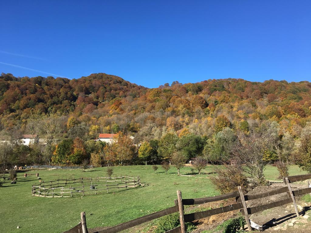 La Fattoria Di Morgana Opi Exterior foto